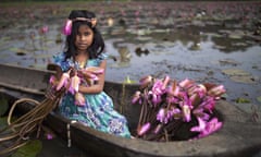 A girl collects red water lilies near Dhaka, Bangladesh.