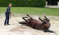 Horse Racing - 5 Oct 2015<br>Mandatory Credit: Photo by Dan Abraham/racingfotos.com/REX Shutterstock (5215113aa) Treve after retiring at her yard Chantilly Horse Racing - 5 Oct 2015