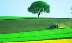 RESO CATALOGUE IMAGE<br>Mandatory Credit: Photo By RESO / REX FEATURES GREEN FIELD AND YELLOW RAPE FIELD IN THE COUNTRYSIDE WITH TRACTOR PLOUGHING RESO CATALOGUE IMAGE SCENIC CROP SPRING OILSEED FIELDS MEADOW COUNTRY AGRICULTURE FARMING GRASS CROPS ONE TREE