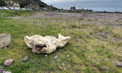 The remains of a fin whale skull on the beach by the harbour car park at Porlock Weir, Somerset.