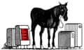 Illustration by David Foldvari of a skinny black horse surrounded by heaters