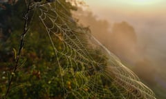 Sunrise in morning mist<br>epa05498750 A spider's web moistened by morning mist glitters in the light of the risintg sun near Lebus, Germany, 19 August 2016 morning. EPA/PATRICK PLEUL