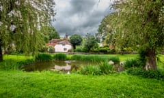 Leafy pond in East Lavant, near Chichester