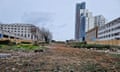 View of the site where more than 100 trees were felled in Plymouth recently