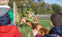 ‘Inappropriate Staring’ describes an argument at a zoo.