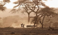 Maasai tribesmen