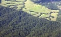 Protected rainforest and land cleared for dairy cattle pasture in northern Queensland.