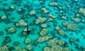 Bleached coral from the air
