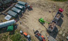 Pig culling at a farm in Lombardy, northern Italy, last week.