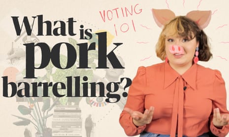 Voting 101: What is pork barrelling? – video