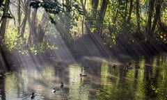 a stream at Illiers-Combray, France, where Proust spent the childhood summers described in In Search of Lost Time.