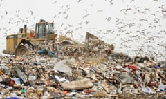 A landfill site at Pitsea in Essex. Photograph: Nature Picture Library/Alamy