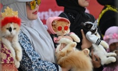 Cats dressed like their owners for cat fashion week in Banda Aceh, Indonesia