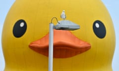 A seagull rests on a lamp post in front of a 19-metre-tall rubber duck