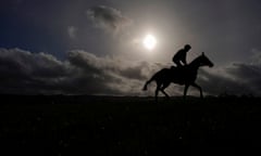 Honeysuckle on the gallops at Cheltenham before she defends her Champion Hurdle crown on Tuesday.