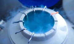 Cryogenic egg storage for IVF