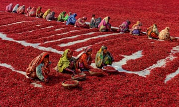 Chilli peppers surround labourers in the Bogra district in the north of Bangladesh.