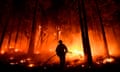 A firefighter is silhouetted hosing down a tree against flames burning in a forest.