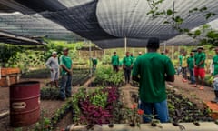 People in matching green T-shirts stand among plants in a nursery