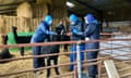 Three people, who arrived with a police escort, prepare to remove Geronimo the alpaca from a farm in Gloucestershire