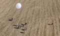 Hobbyists launch a high-altitude balloon in Ararat in south-west Victoria on 19 February 2023.