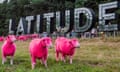 pink sheep at latitude