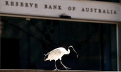 Reserve Bank of Australia building with ibis in front