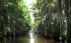 Caddo Lake in Texas.