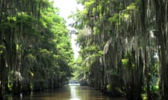 Travel Caddo Lake<br>This Friday June 4, 2010 photo shows a water lane running through tall cypress trees covered with Spanish moss on Caddo Lake near Uncertain, Texas. Visitors to this lake tucked away in Texas’ forested northeast corner find a mysterious labyrinth of swamps, sloughs, and bayous that are home to a vast array of wildlife, anything from owls to eagles to alligators. (AP Photo/Jamie Stengle)