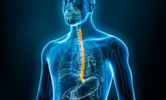 An illustration showing the oesophagus on X-ray.