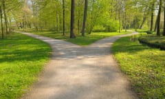 Forest path branching off left and right