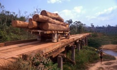 Transportation of timber logs, Amazon rainforestBRAZIL