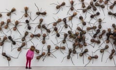 Ant art installation at the Saatchi Gallery.