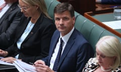 Angus Taylor during question time