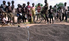 Cocoa beans drying in the sun, Ivory Coast