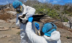 scientists inspect a bird