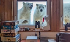 Three polar bears standing outside the window of a room containing several board game boxes, binoculars and a stuffed white toy