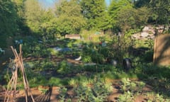 Allotments ready for the first growth in May