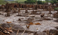 A chicken walks on debris in Bento Rodrigues district after a dam, owned by Vale SA and BHP Billiton Ltd burst, in Mariana, Brazil, November 9, 2015. Mud and waste water from burst dams at a Brazilian iron ore mine cut off drinking water and raised health and environmental concerns in cities more than 300 km (186 miles) downstream on Monday, amid increasingly dire search efforts in a village devastated by the mudslides. One of Brazil's worst mining disasters in recent memory left 25 people missing. Officials have confirmed two deaths since Thursday's tragedy and are working to identify two more corpses recovered on Sunday. REUTERS/Ricardo Moraes