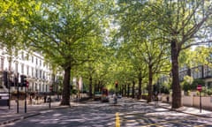 The app creates a personalised ‘tree trail’ for users to follow, telling the stories of trees along the route.