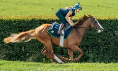 Dubai Mile, ridden by Emma Bedford on Middleham Gallops near Charlie Johnston's yard at Kingsley Park.