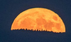 ‘Hairless absolute’ … a ‘supermoon’ rising.