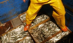 A crew member on a fishing trawler