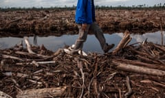 A forest activist inspects land clearing and drainage of peat forest