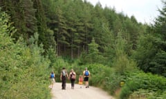 A family walking in the Allean Forest, part of the Tay Forest Park, in Perthshire