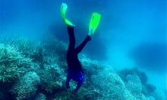 A diver swimming among bleached coral on the Great Barrier Reef, off the coast of the Australian state of Queensland.