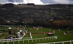 The British Horseracing Authority have launched a review after six horse fatalities at last week’s Cheltenham Festival.