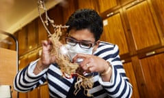 Gothamie Weerakoon, who manages the Darwin collections of lichen, inspects a sample of lichen inside the archives at the Natural History Museum in London. Photograph by David Levene