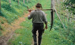 Winegrower in Austria