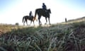 Godolphin racehorses at training in Sydney